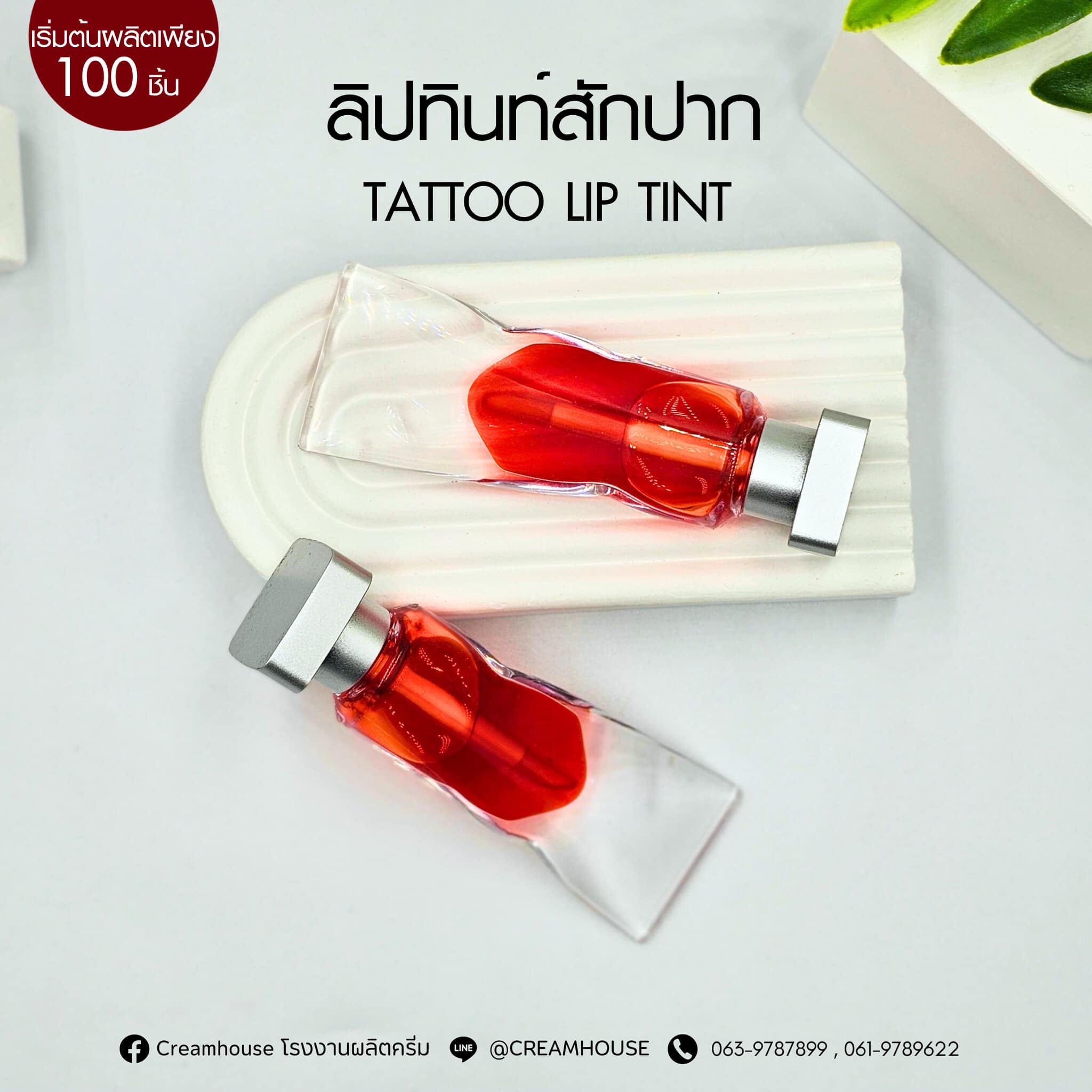 ลิปทินท์สักปาก -