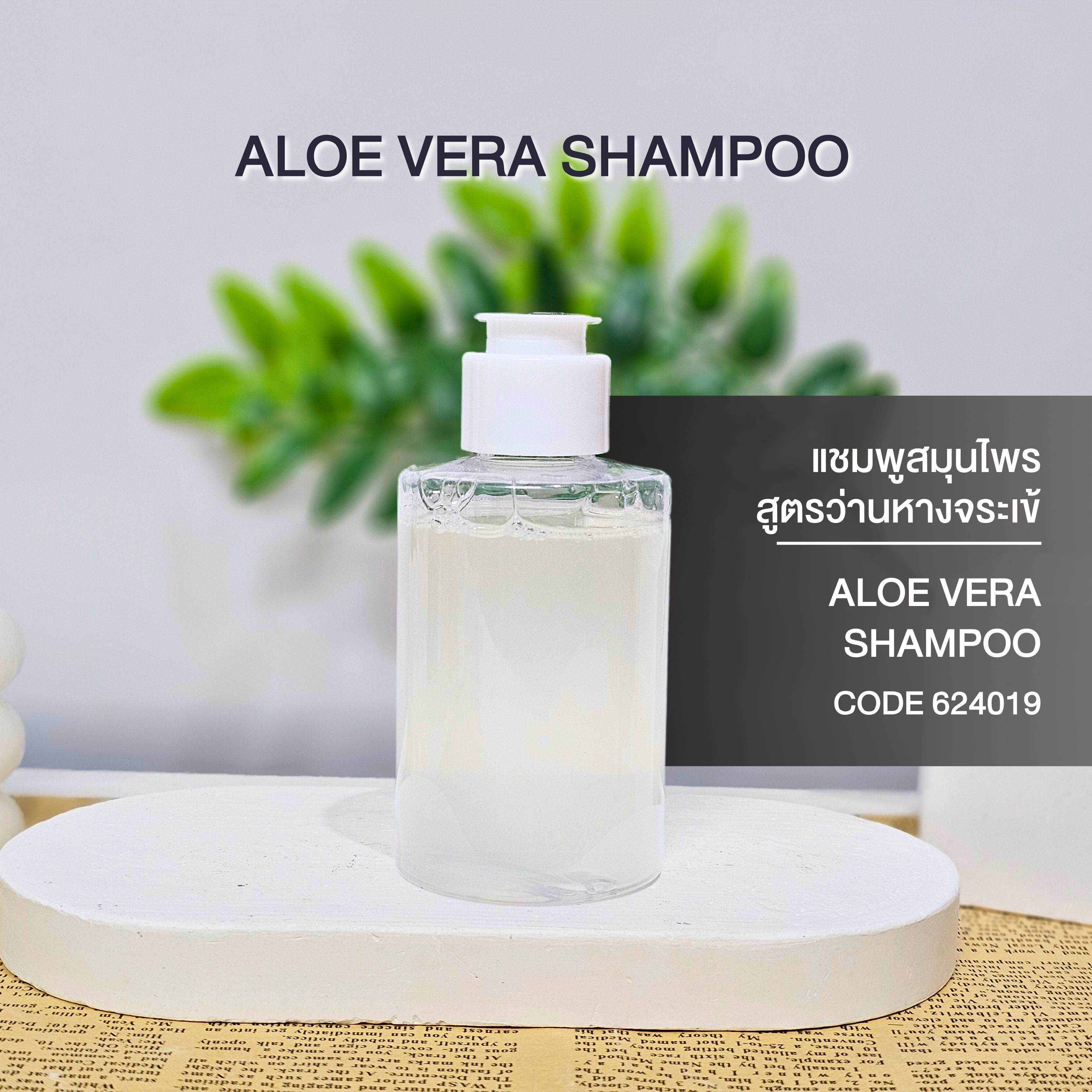 แชมพูสมุนไพรสูตรว่านหางจระเข้ - ALOE VERA SHAMPOO